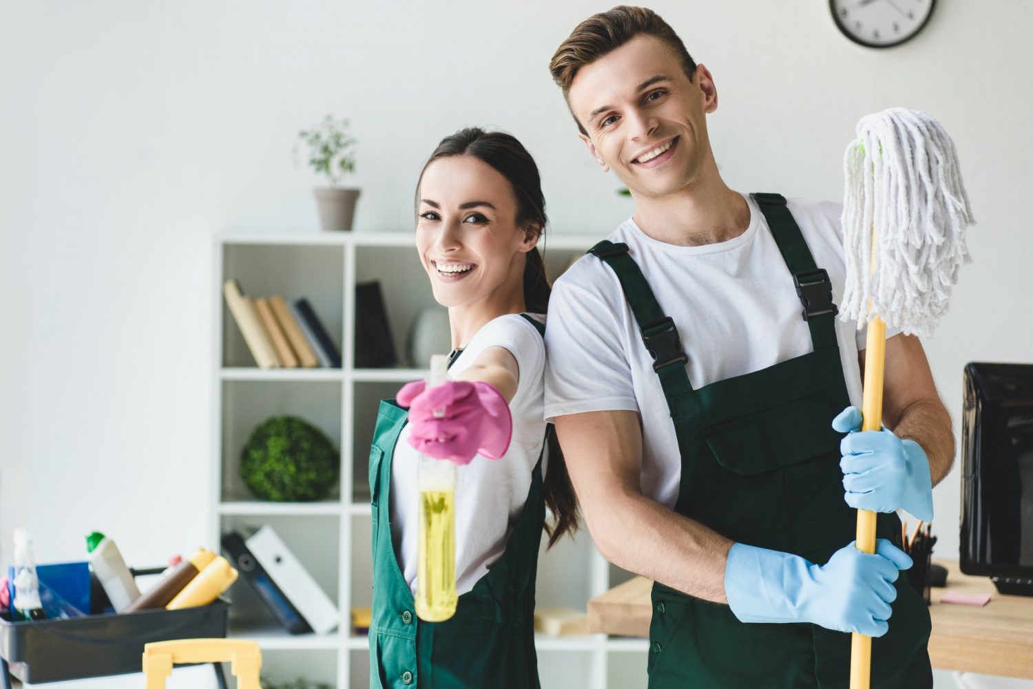 Professional cleaning services